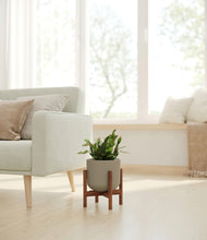 Load image into Gallery viewer, Sage Green stand:walnut