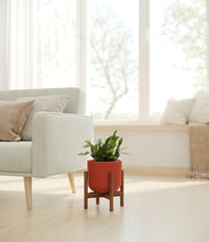 Load image into Gallery viewer, Earth Red stand:walnut