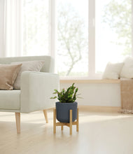 Load image into Gallery viewer, Iron Gray stand:bamboo