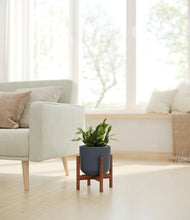 Load image into Gallery viewer, Iron Gray stand:walnut