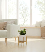 Load image into Gallery viewer, Natural Bamboo stand:bamboo