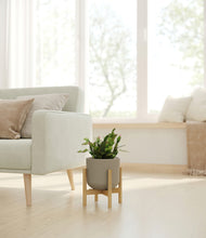 Load image into Gallery viewer, Sage Green stand:bamboo