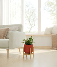 Load image into Gallery viewer, Earth Red stand:bamboo