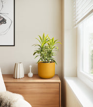 Load image into Gallery viewer, Sunset Orange