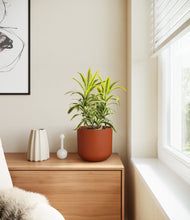 Load image into Gallery viewer, Earth Red