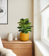 Load image into Gallery viewer, Sunset Orange