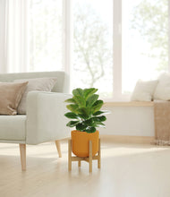 Load image into Gallery viewer, Sunset Orange stand:bamboo