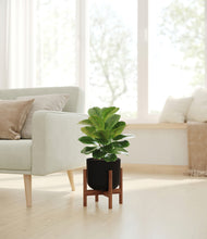 Load image into Gallery viewer, Stone Black stand:walnut