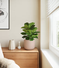 Load image into Gallery viewer, Sandy Pink