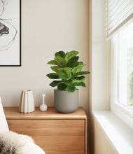 Load image into Gallery viewer, Sage Green