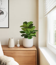 Load image into Gallery viewer, Natural Bamboo