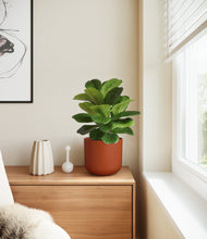 Load image into Gallery viewer, Earth Red