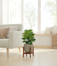 Load image into Gallery viewer, Sage Green stand:walnut