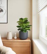 Load image into Gallery viewer, Iron Gray