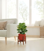 Load image into Gallery viewer, Earth Red stand:walnut