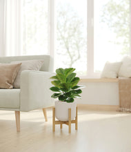 Load image into Gallery viewer, Natural Bamboo stand:bamboo