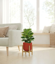 Load image into Gallery viewer, Earth Red stand:bamboo