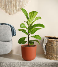 Load image into Gallery viewer, Earth Red