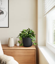 Load image into Gallery viewer, Stone Black