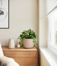 Load image into Gallery viewer, Sandy Pink