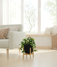 Load image into Gallery viewer, Stone Black stand:bamboo