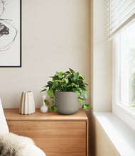 Load image into Gallery viewer, Sage Green