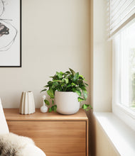 Load image into Gallery viewer, Natural Bamboo