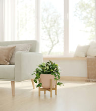 Load image into Gallery viewer, Sandy Pink stand:bamboo