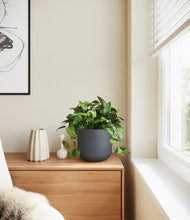 Load image into Gallery viewer, Iron Gray