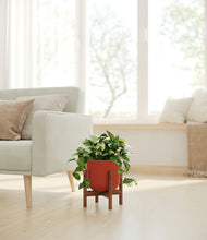 Load image into Gallery viewer, Earth Red stand:walnut