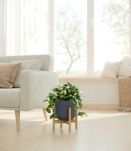 Load image into Gallery viewer, Iron Gray stand:bamboo