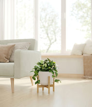 Load image into Gallery viewer, Natural Bamboo stand:bamboo