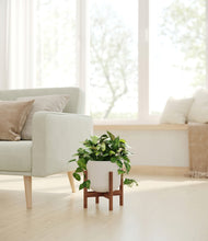 Load image into Gallery viewer, Natural Bamboo stand:walnut