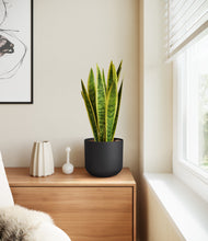 Load image into Gallery viewer, Stone Black