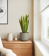 Load image into Gallery viewer, Sage Green