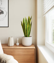 Load image into Gallery viewer, Natural Bamboo