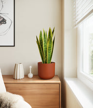 Load image into Gallery viewer, Earth Red