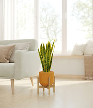 Load image into Gallery viewer, Sunset Orange stand:bamboo