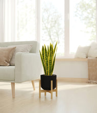 Load image into Gallery viewer, Stone Black stand:bamboo