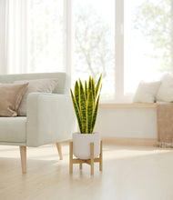 Load image into Gallery viewer, Natural Bamboo stand:bamboo