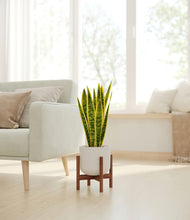 Load image into Gallery viewer, Natural Bamboo stand:walnut