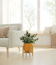 Load image into Gallery viewer, Sunset Orange stand:bamboo