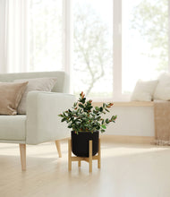 Load image into Gallery viewer, Stone Black stand:bamboo