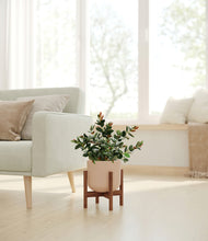 Load image into Gallery viewer, Sandy Pink stand:walnut