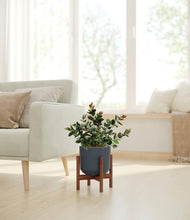 Load image into Gallery viewer, Iron Gray stand:walnut