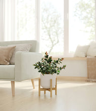 Load image into Gallery viewer, Natural Bamboo stand:bamboo