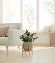 Load image into Gallery viewer, Sage Green stand:bamboo