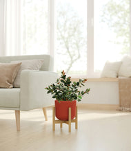 Load image into Gallery viewer, Earth Red stand:bamboo