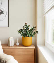 Load image into Gallery viewer, Sunset Orange