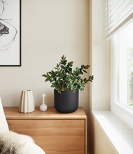 Load image into Gallery viewer, Stone Black